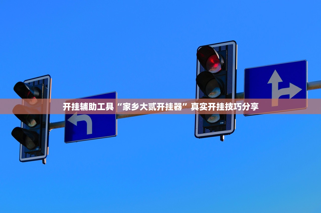 开挂辅助工具“家乡大贰开挂器	”真实开挂技巧分享