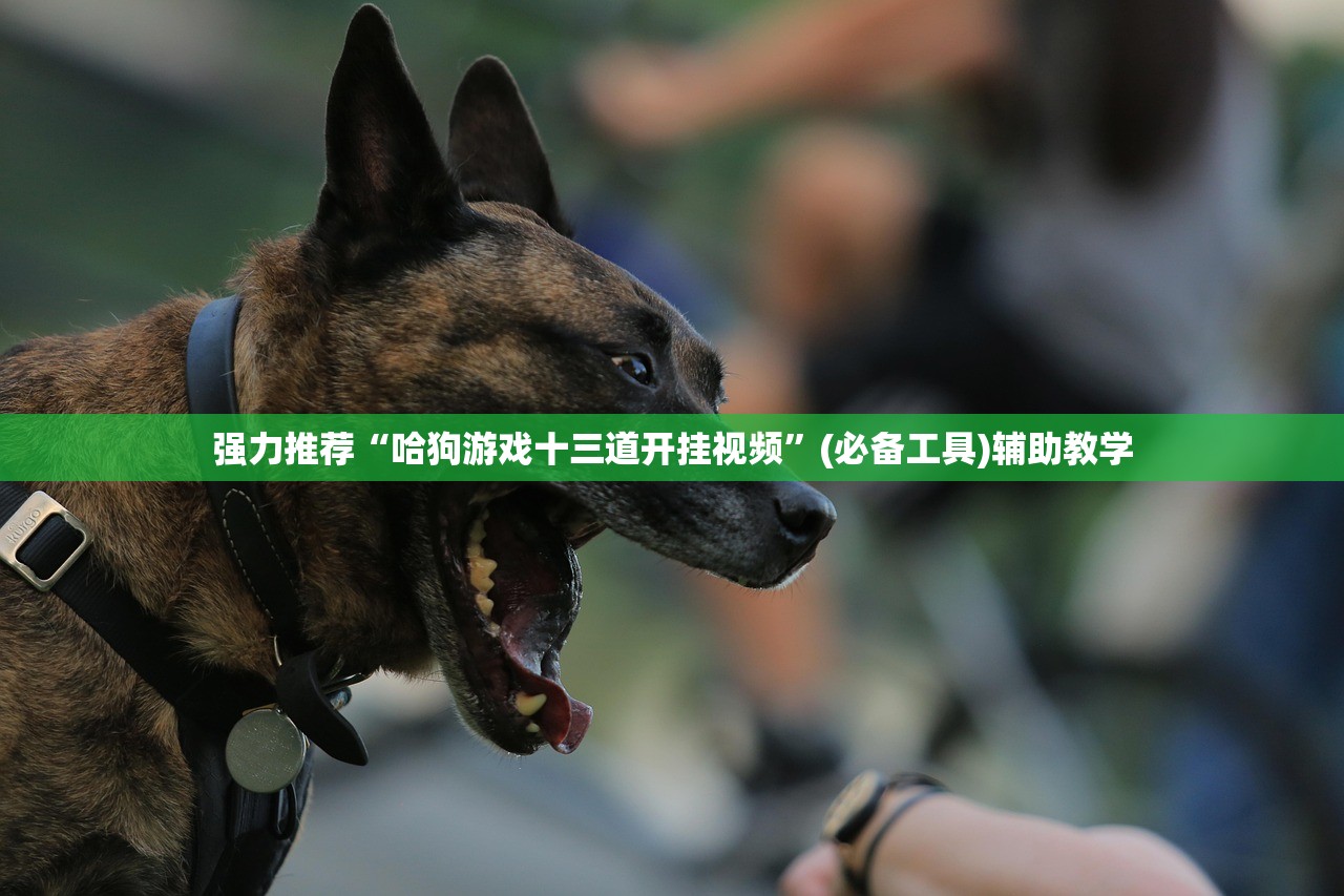 强力推荐“哈狗游戏十三道开挂视频”(必备工具)辅助教学