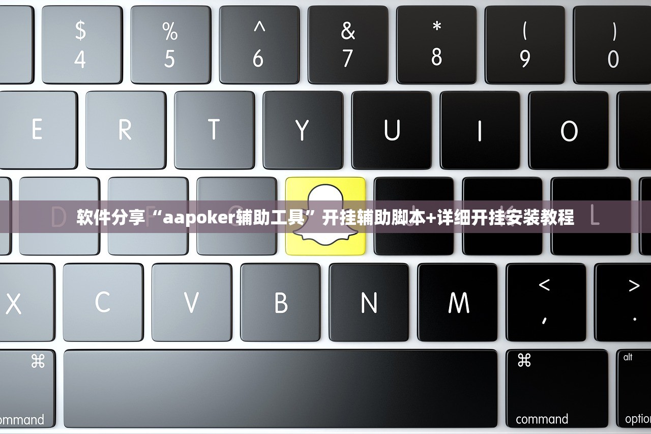 软件分享“aapoker辅助工具	”开挂辅助脚本+详细开挂安装教程