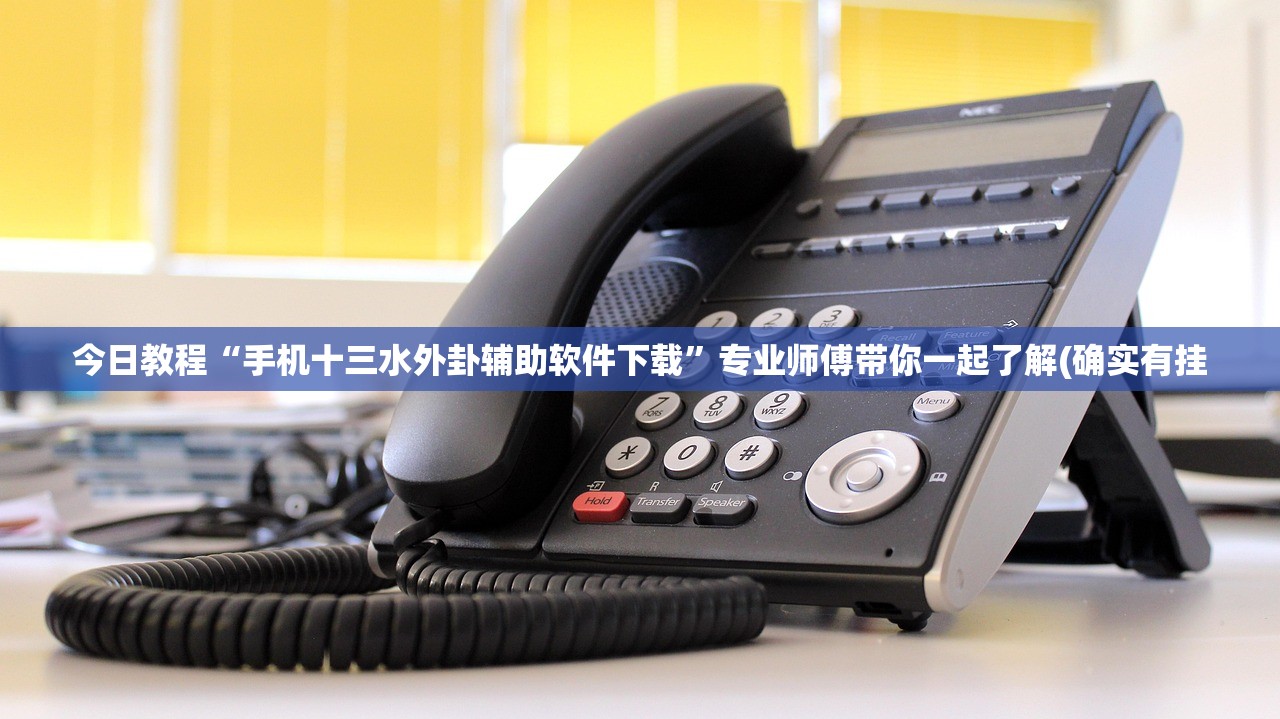 今日教程“手机十三水外卦辅助软件下载	”专业师傅带你一起了解(确实有挂