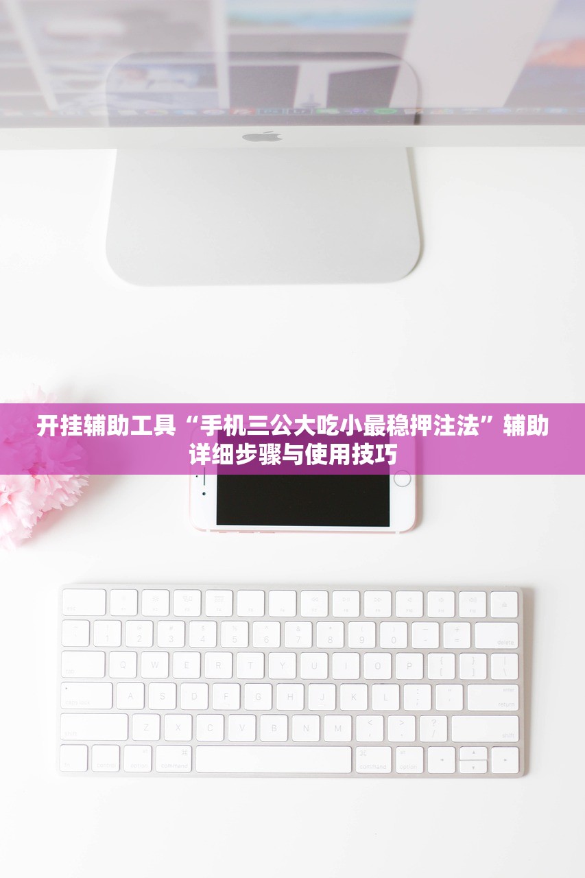 开挂辅助工具“手机三公大吃小最稳押注法”辅助详细步骤与使用技巧