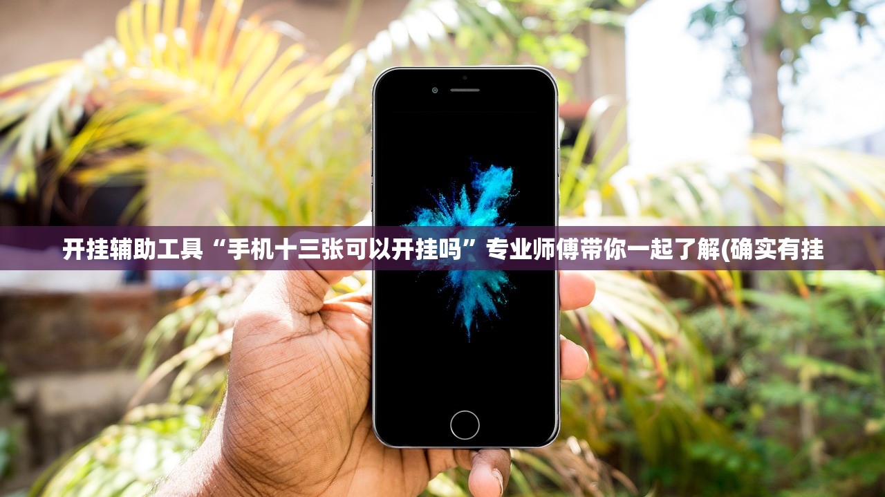 开挂辅助工具“手机十三张可以开挂吗”专业师傅带你一起了解(确实有挂