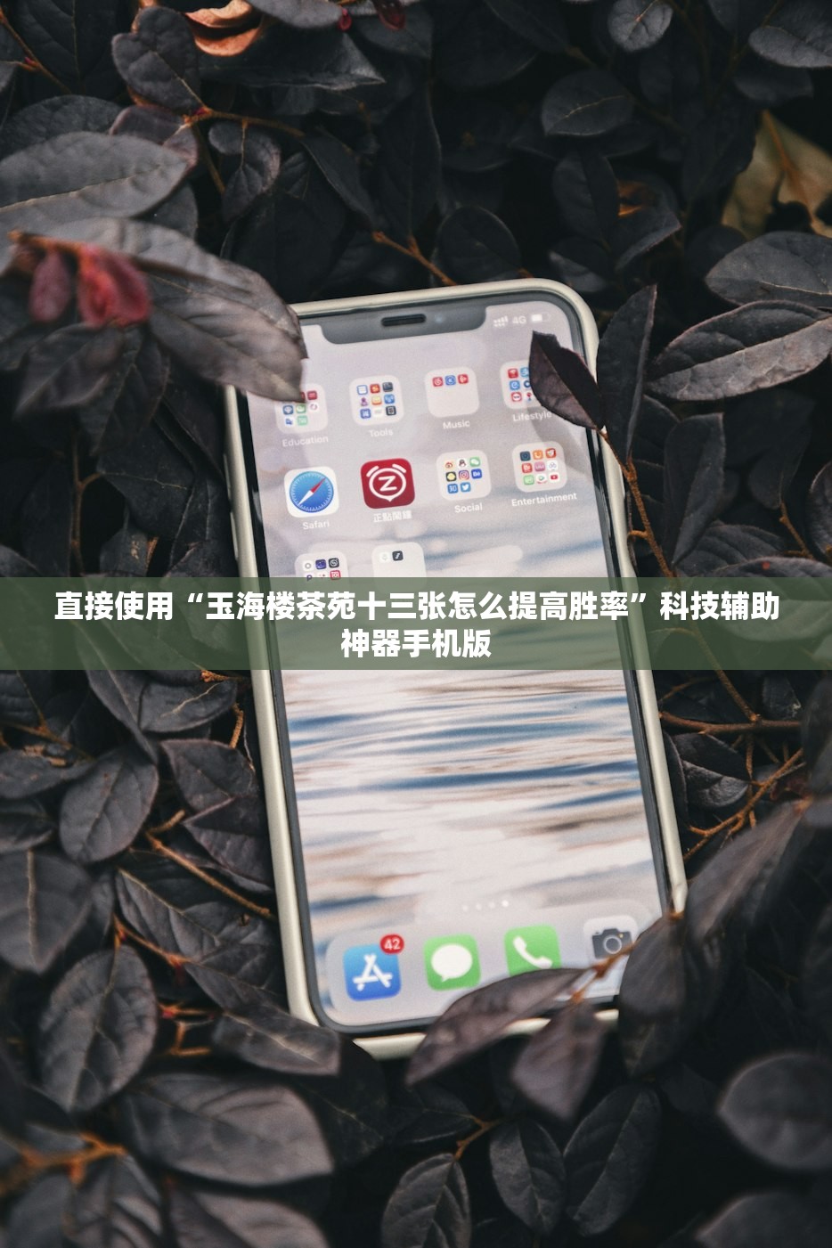 直接使用“玉海楼茶苑十三张怎么提高胜率”科技辅助神器手机版