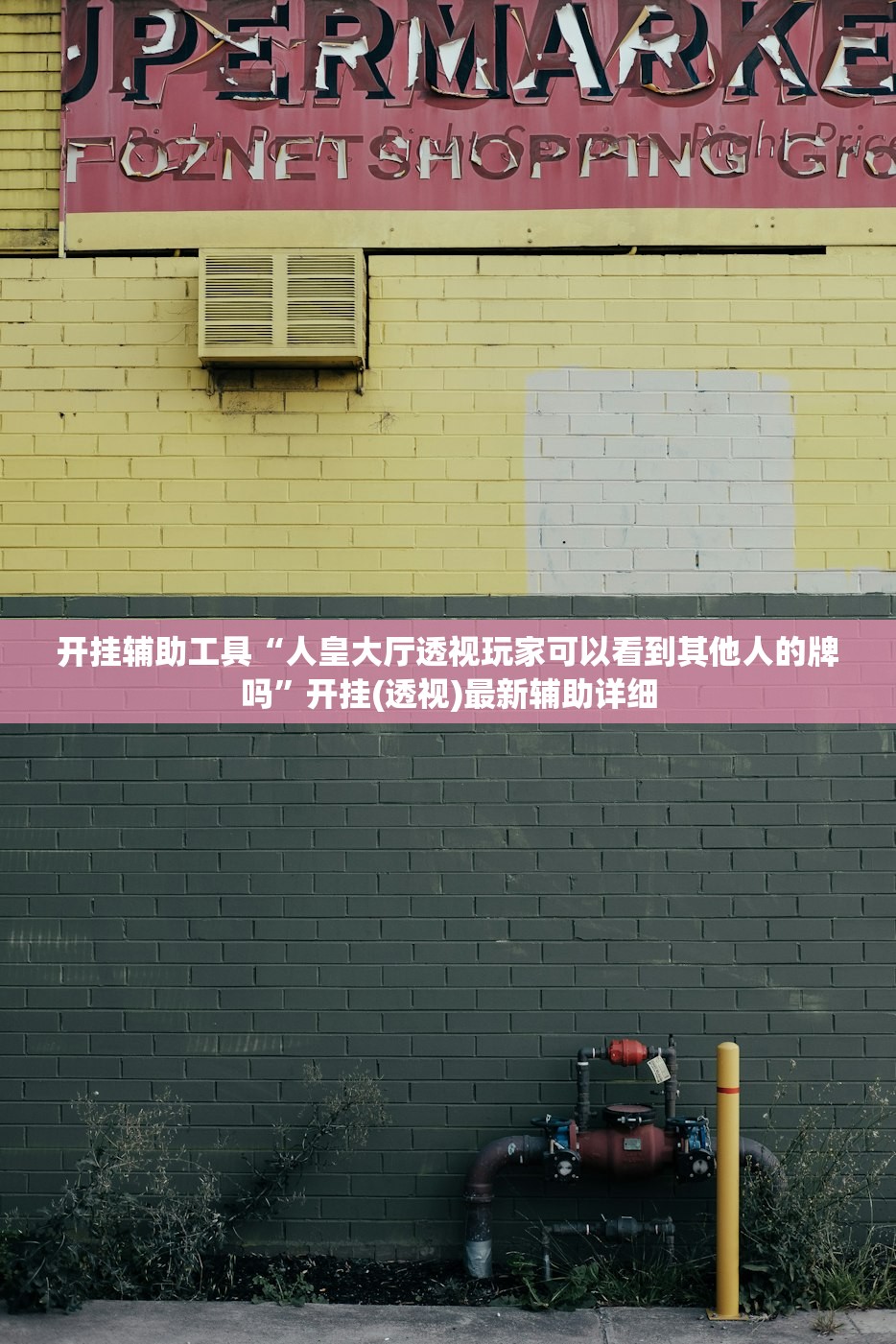 开挂辅助工具“人皇大厅透视玩家可以看到其他人的牌吗”开挂(透视)最新辅助详细