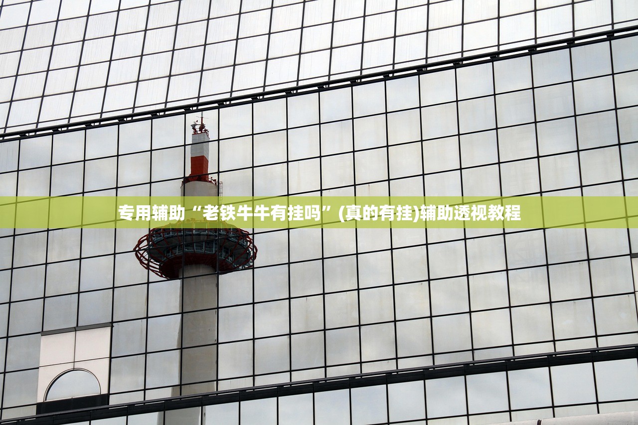 专用辅助“老铁牛牛有挂吗”(真的有挂)辅助透视教程