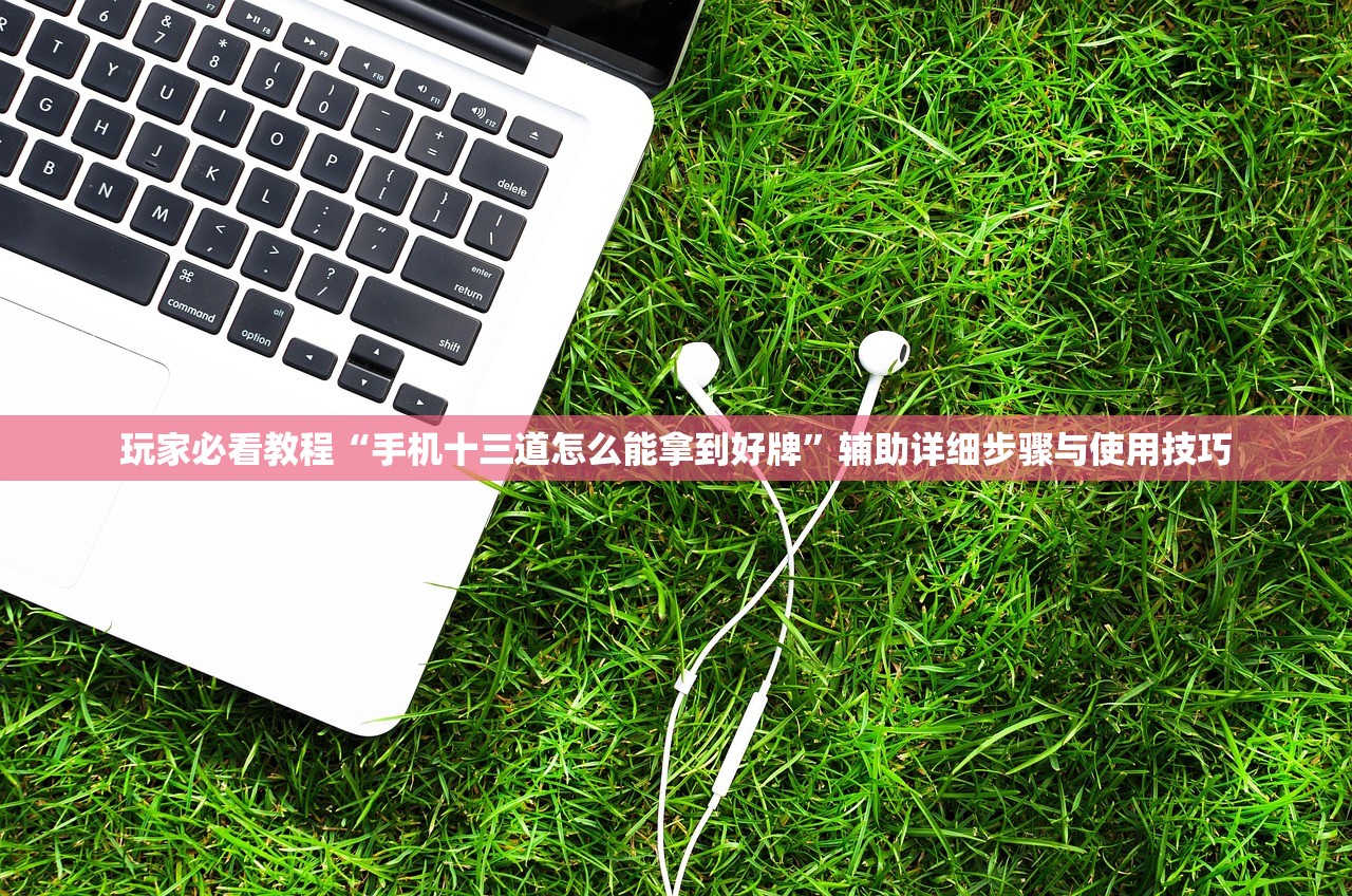 玩家必看教程“手机十三道怎么能拿到好牌	”辅助详细步骤与使用技巧