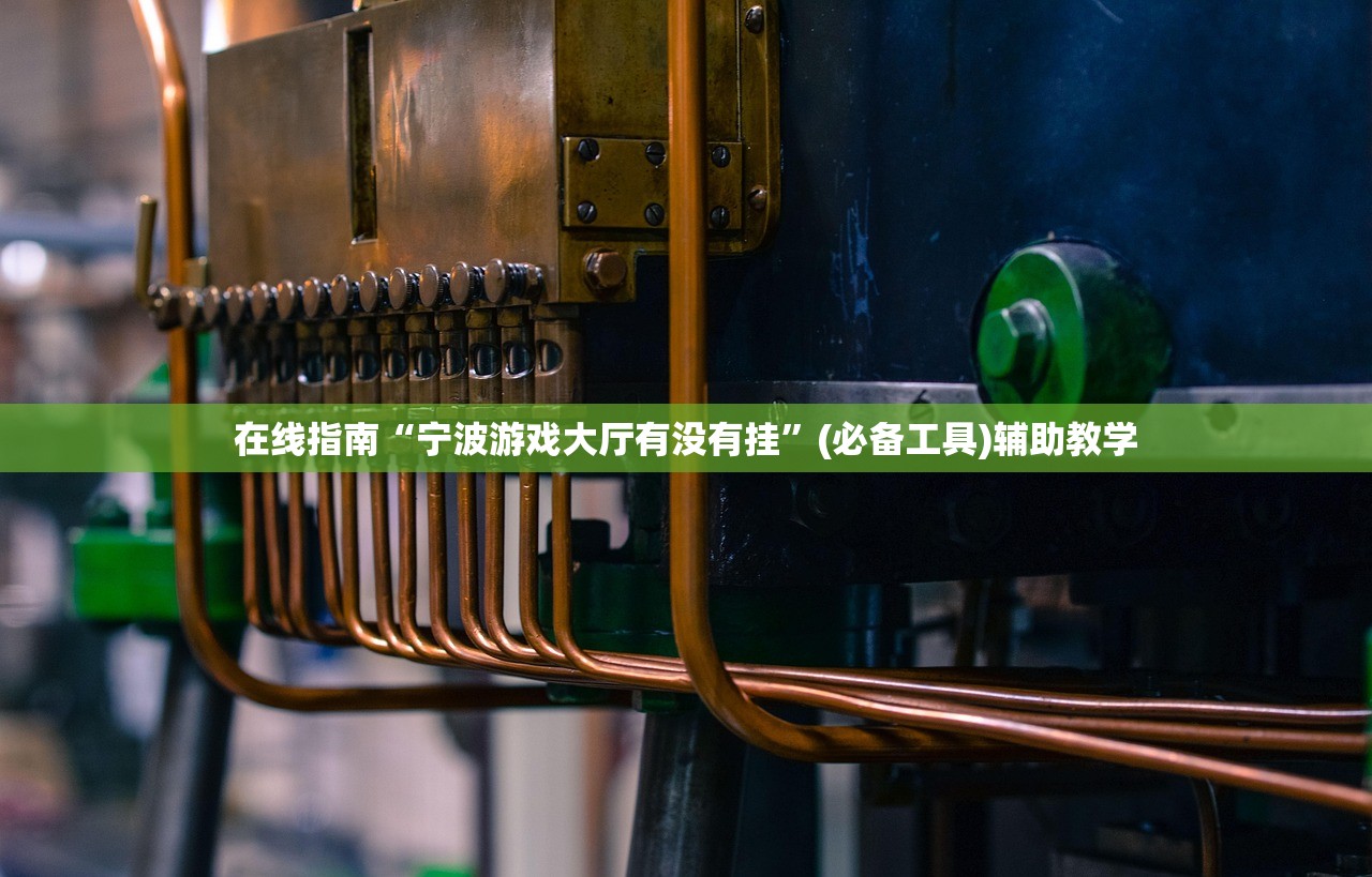 在线指南“宁波游戏大厅有没有挂”(必备工具)辅助教学