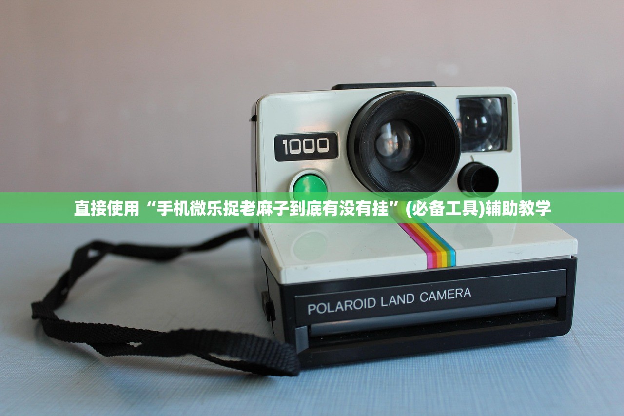 直接使用“手机微乐捉老麻子到底有没有挂	”(必备工具)辅助教学