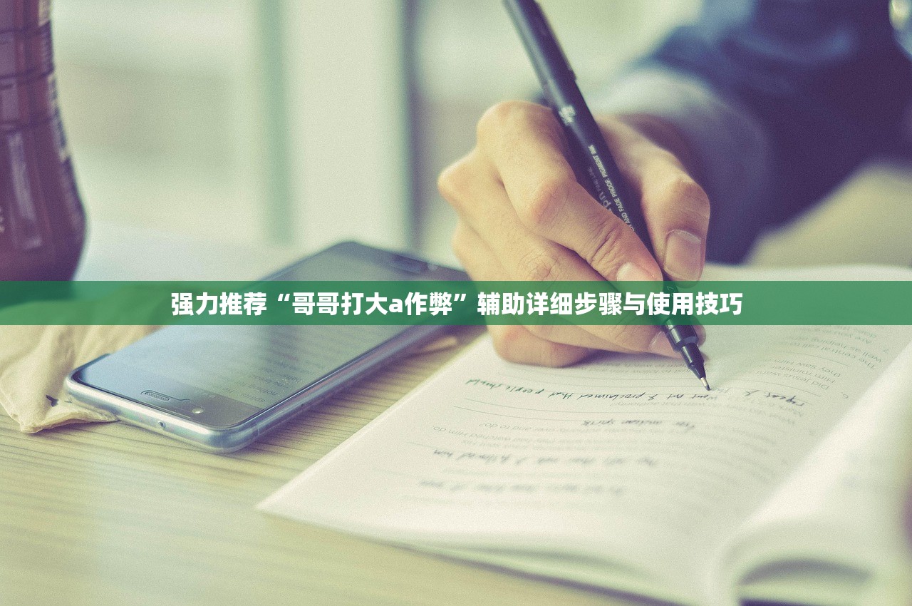 强力推荐“哥哥打大a作弊”辅助详细步骤与使用技巧