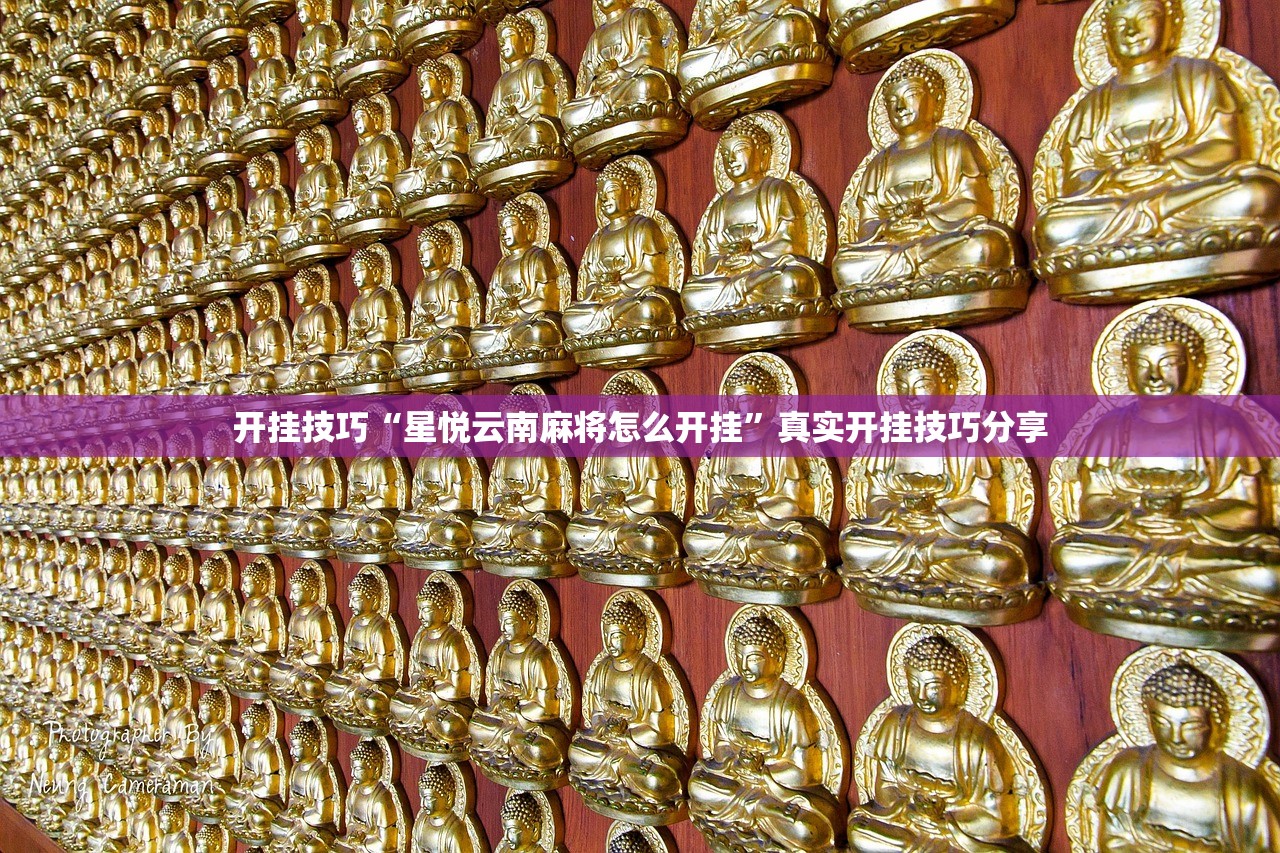 开挂技巧“星悦云南麻将怎么开挂	”真实开挂技巧分享