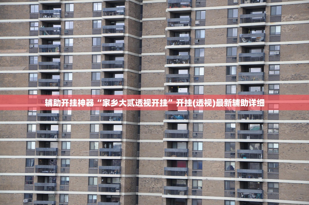 辅助开挂神器“家乡大贰透视开挂”开挂(透视)最新辅助详细