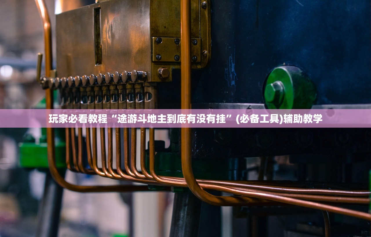 玩家必看教程“途游斗地主到底有没有挂”(必备工具)辅助教学