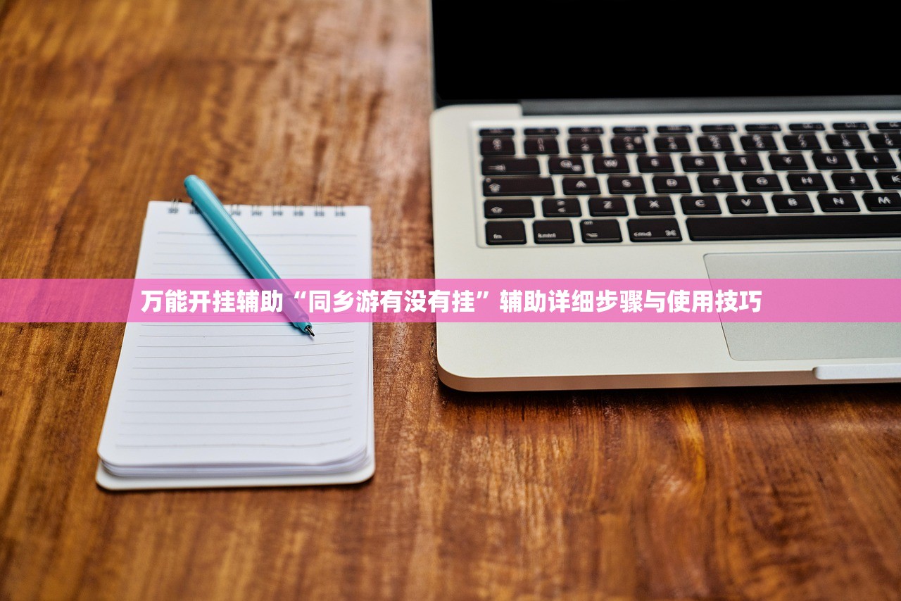 万能开挂辅助“同乡游有没有挂”辅助详细步骤与使用技巧