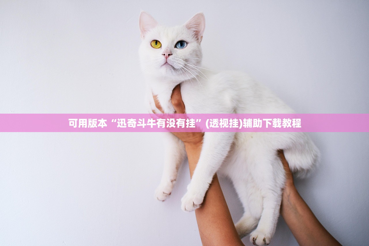 可用版本“迅奇斗牛有没有挂”(透视挂)辅助下载教程