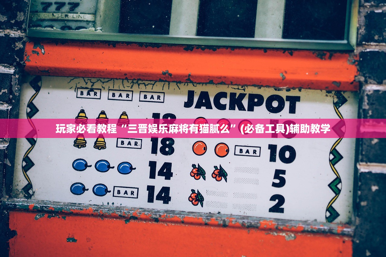 玩家必看教程“三晋娱乐麻将有猫腻么	”(必备工具)辅助教学