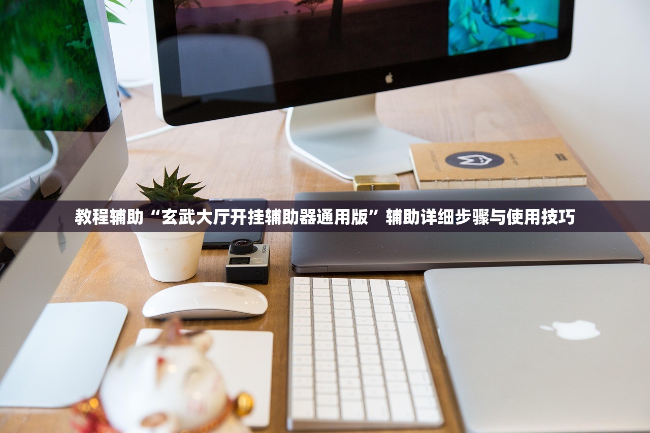 教程辅助“玄武大厅开挂辅助器通用版”辅助详细步骤与使用技巧