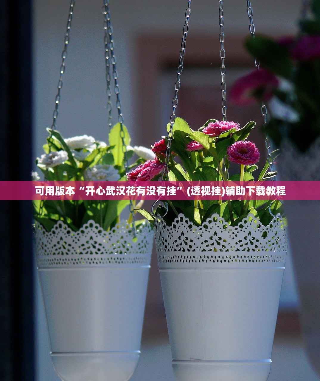 可用版本“开心武汉花有没有挂”(透视挂)辅助下载教程