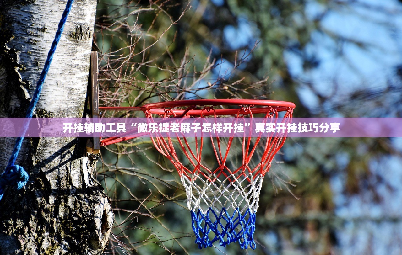 开挂辅助工具“微乐捉老麻子怎样开挂	”真实开挂技巧分享