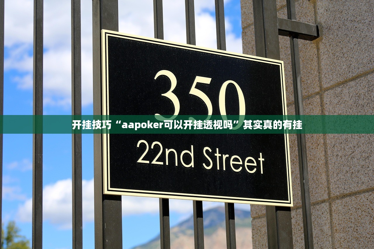 开挂技巧“aapoker可以开挂透视吗”其实真的有挂