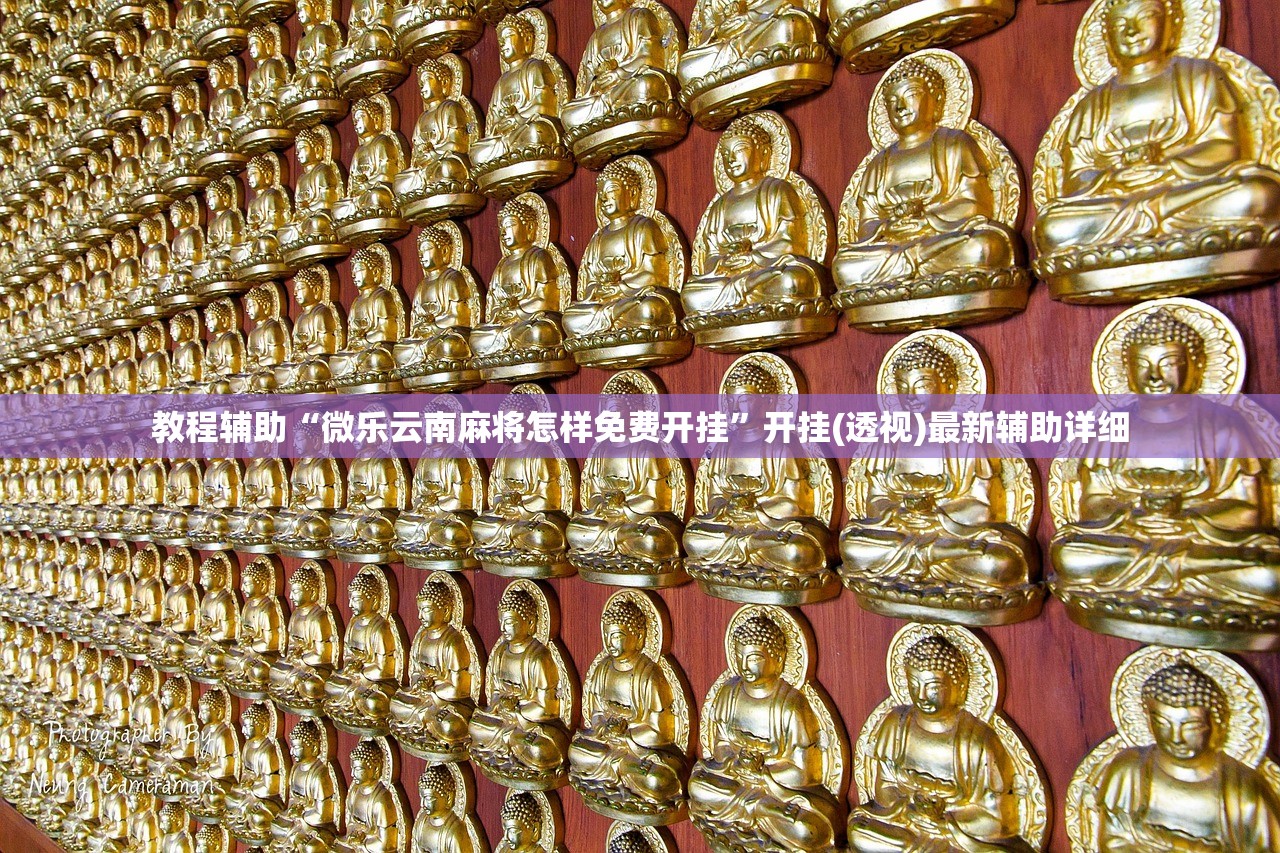 教程辅助“微乐云南麻将怎样免费开挂”开挂(透视)最新辅助详细