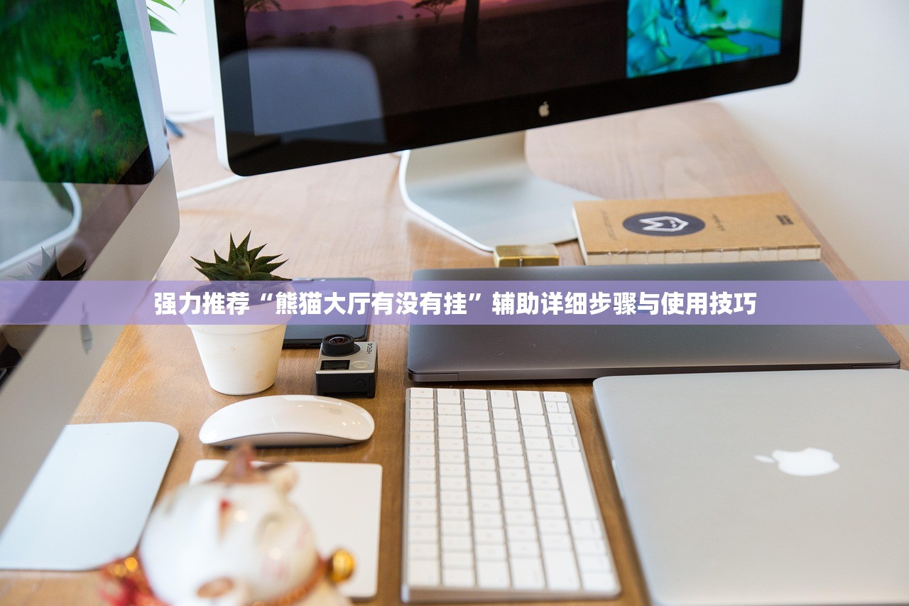 强力推荐“熊猫大厅有没有挂	”辅助详细步骤与使用技巧