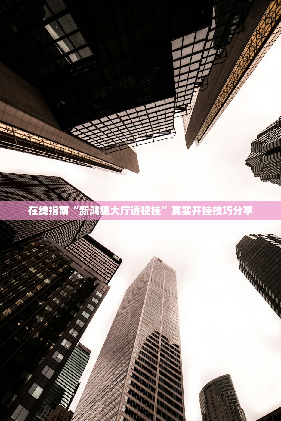 在线指南“新鸿狐大厅透视挂”真实开挂技巧分享