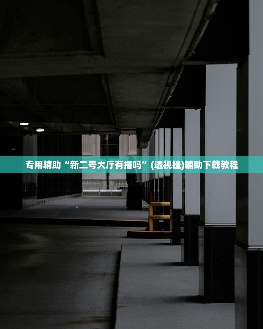 专用辅助“新二号大厅有挂吗	”(透视挂)辅助下载教程