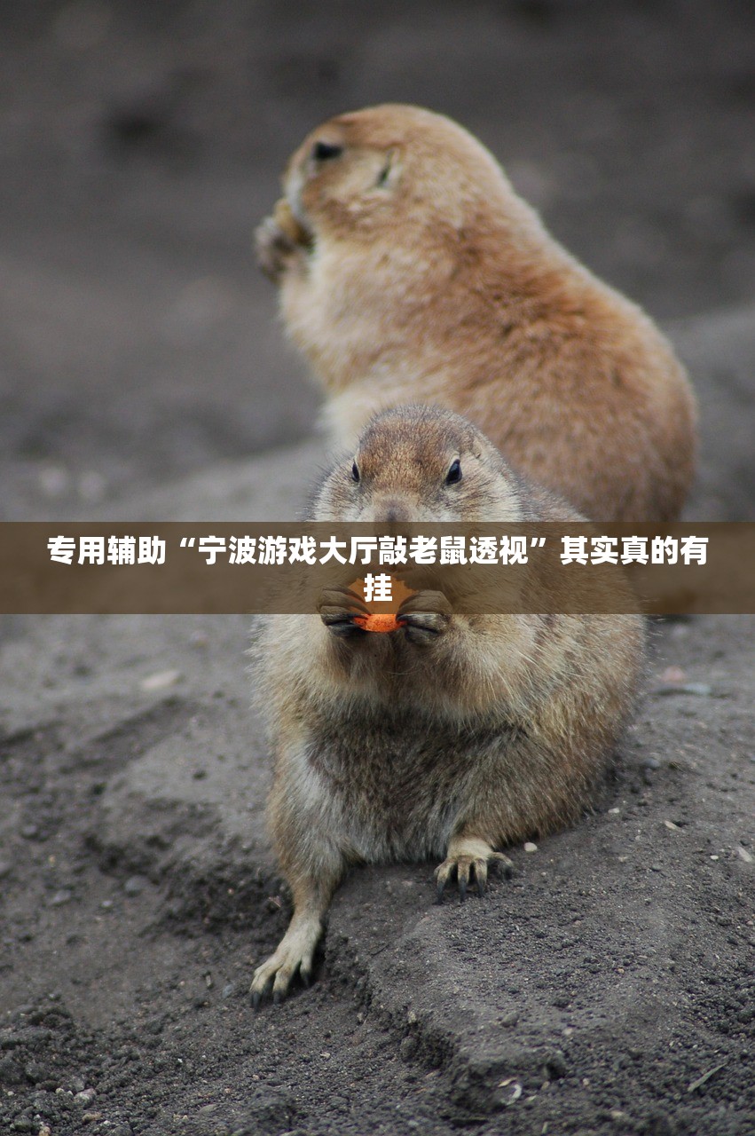 专用辅助“宁波游戏大厅敲老鼠透视”其实真的有挂