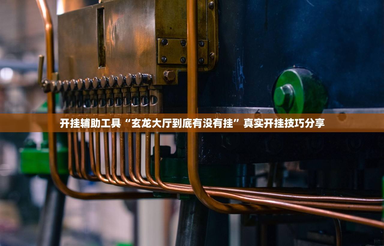 开挂辅助工具“玄龙大厅到底有没有挂”真实开挂技巧分享