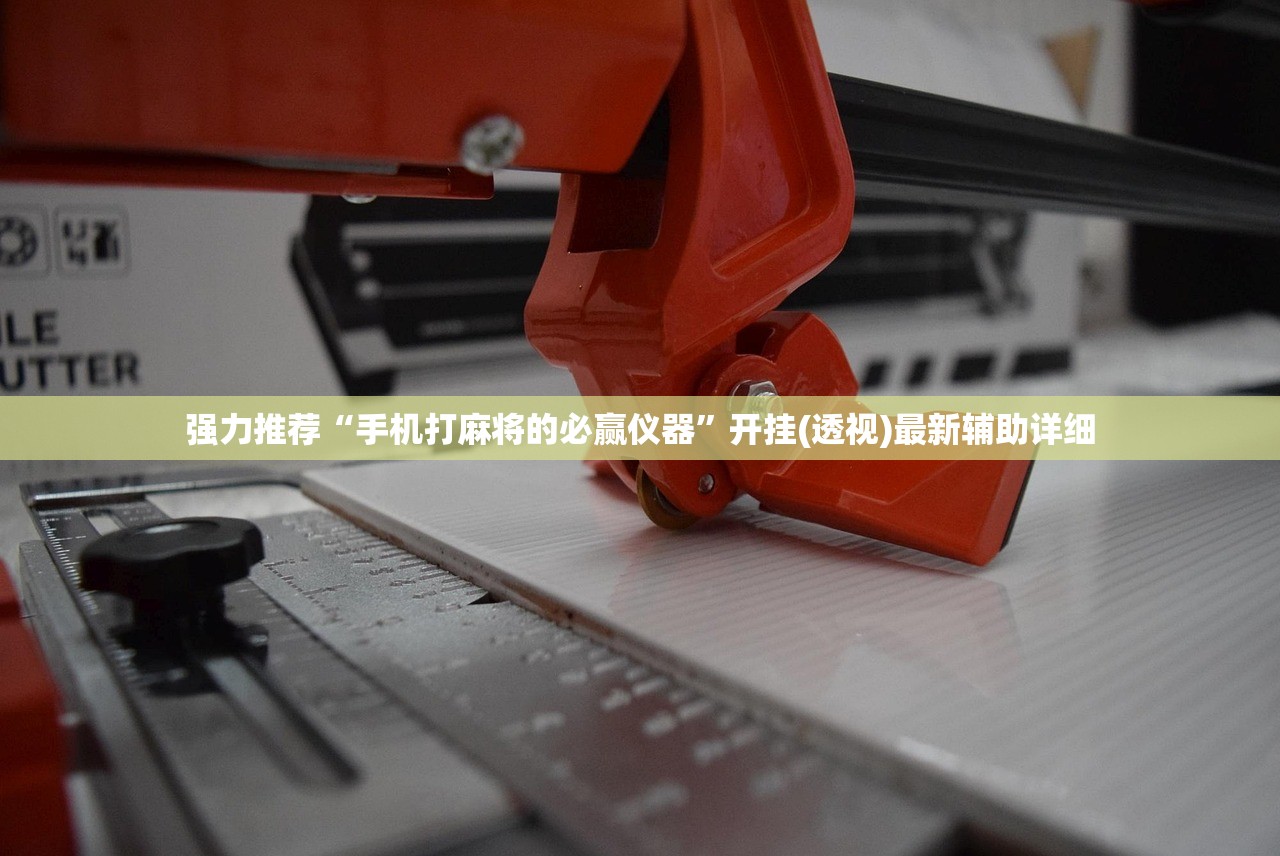 强力推荐“手机打麻将的必赢仪器”开挂(透视)最新辅助详细