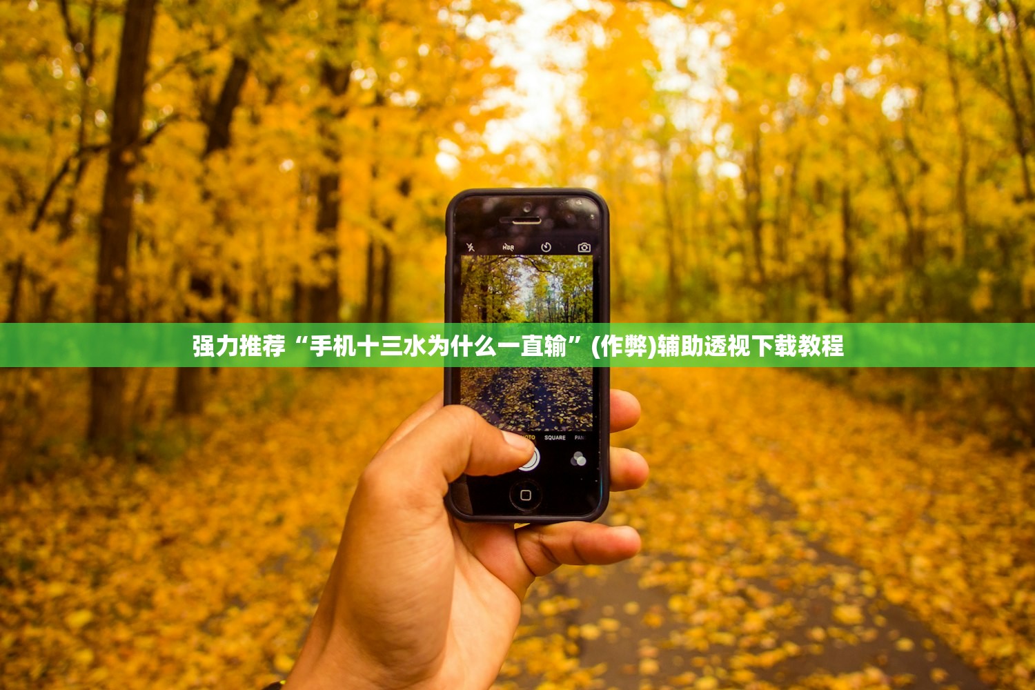 强力推荐“手机十三水为什么一直输”(作弊)辅助透视下载教程