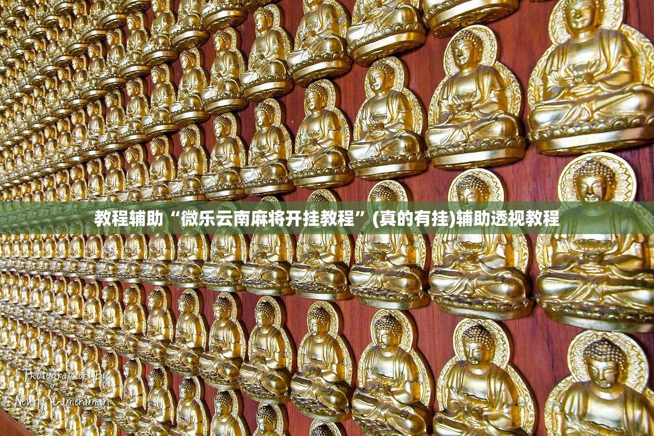 教程辅助“微乐云南麻将开挂教程”(真的有挂)辅助透视教程
