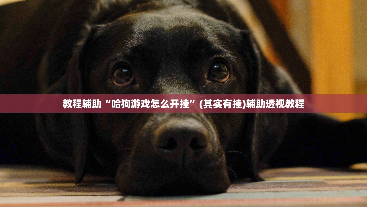 教程辅助“哈狗游戏怎么开挂”(其实有挂)辅助透视教程