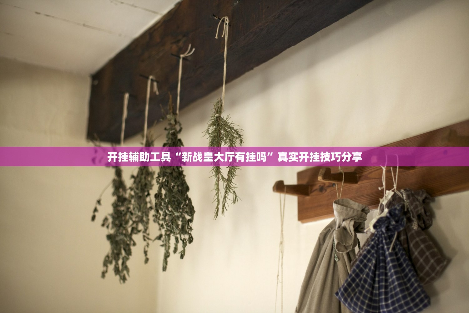 开挂辅助工具“新战皇大厅有挂吗”真实开挂技巧分享