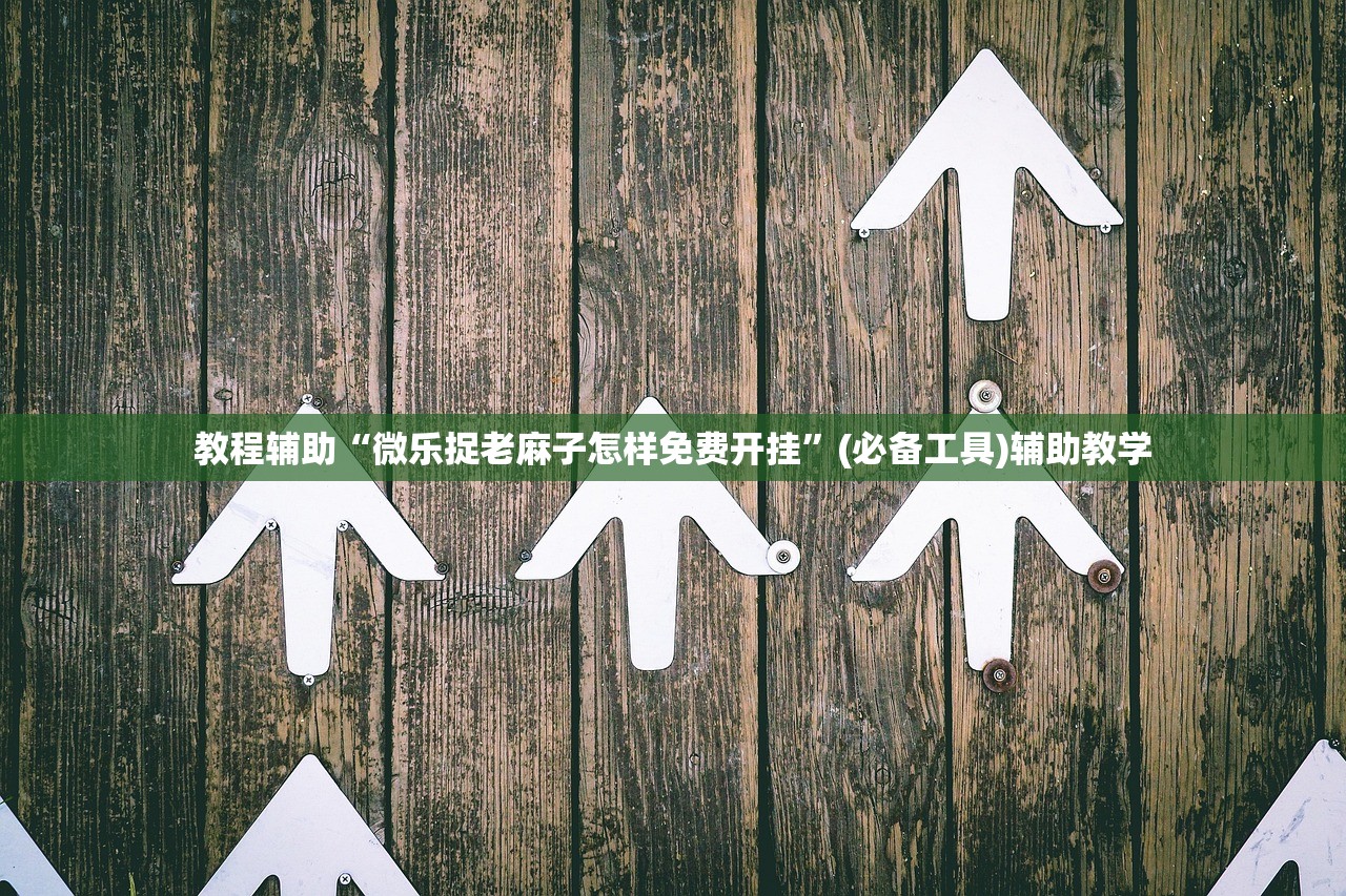 教程辅助“微乐捉老麻子怎样免费开挂”(必备工具)辅助教学