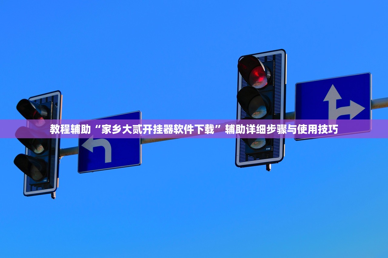 教程辅助“家乡大贰开挂器软件下载	”辅助详细步骤与使用技巧