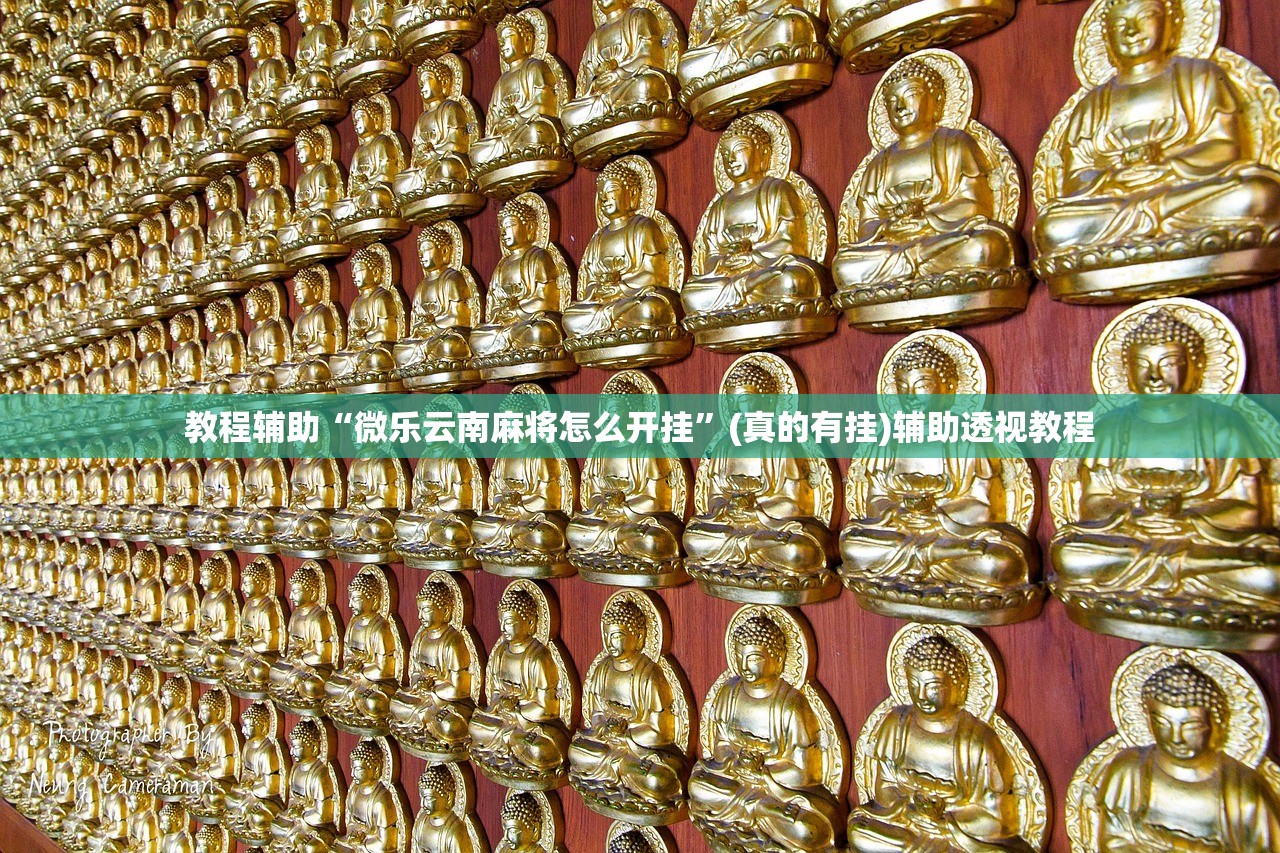 教程辅助“微乐云南麻将怎么开挂	”(真的有挂)辅助透视教程