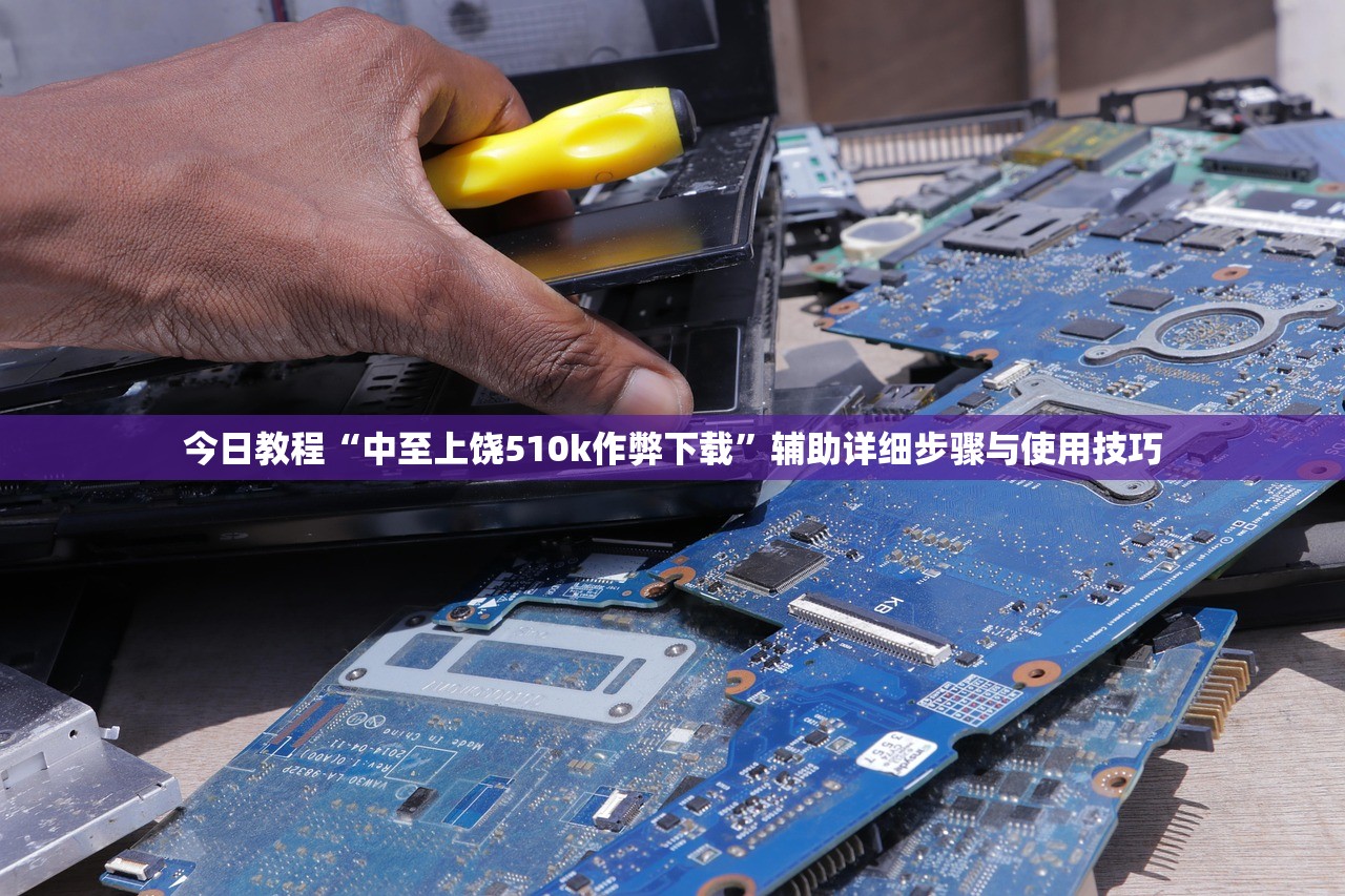 今日教程“中至上饶510k作弊下载”辅助详细步骤与使用技巧