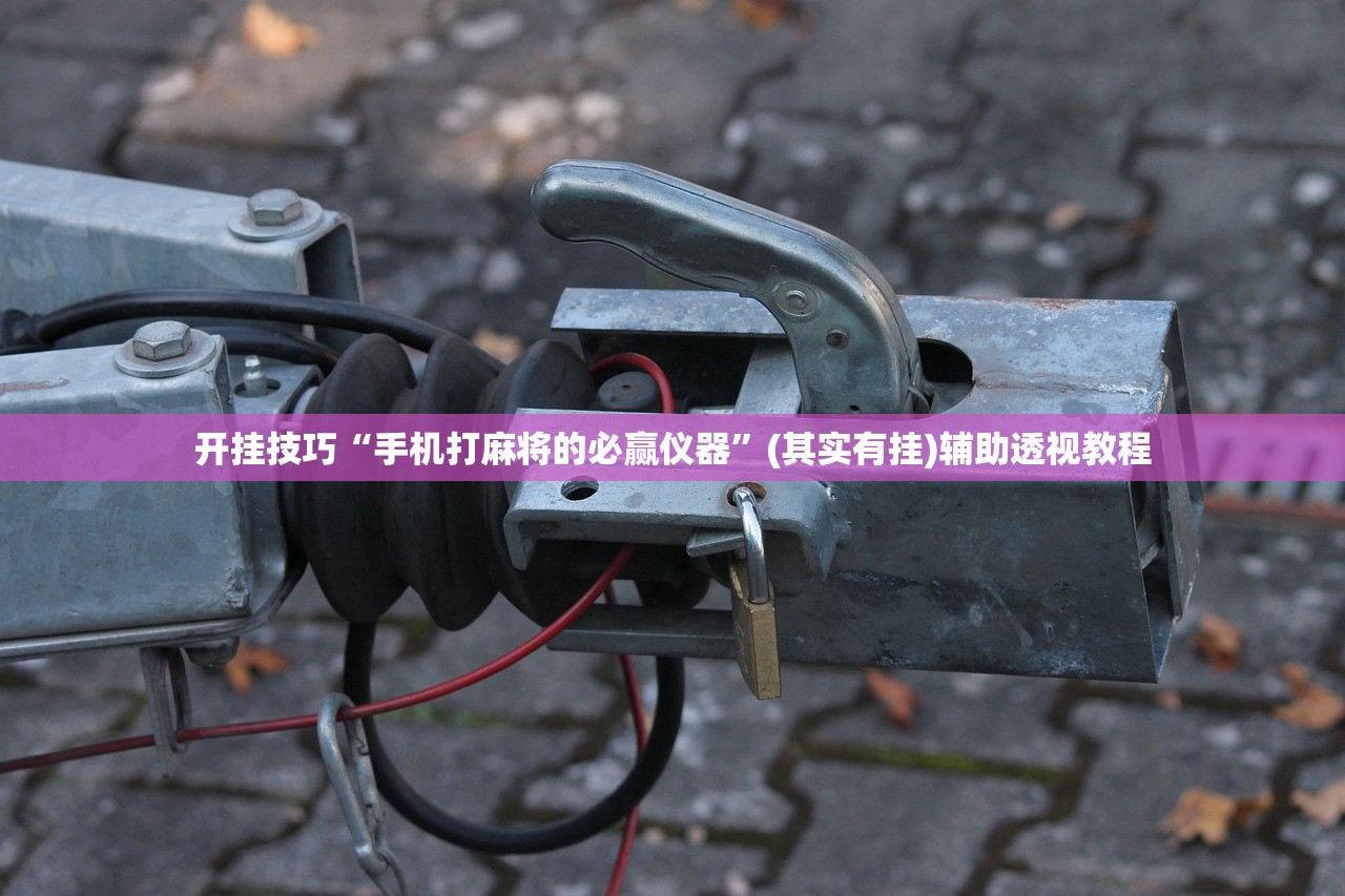开挂技巧“手机打麻将的必赢仪器	”(其实有挂)辅助透视教程