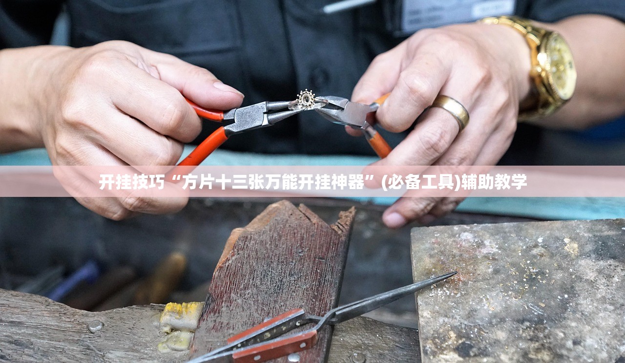 开挂技巧“方片十三张万能开挂神器	”(必备工具)辅助教学