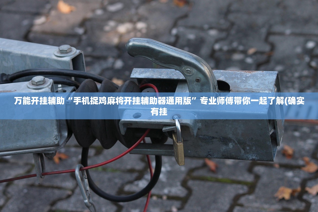 万能开挂辅助“手机捉鸡麻将开挂辅助器通用版”专业师傅带你一起了解(确实有挂
