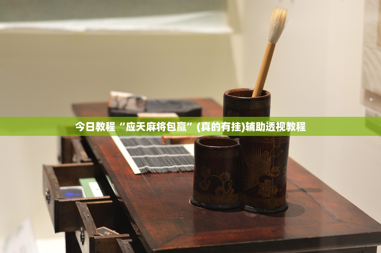 今日教程“应天麻将包赢”(真的有挂)辅助透视教程