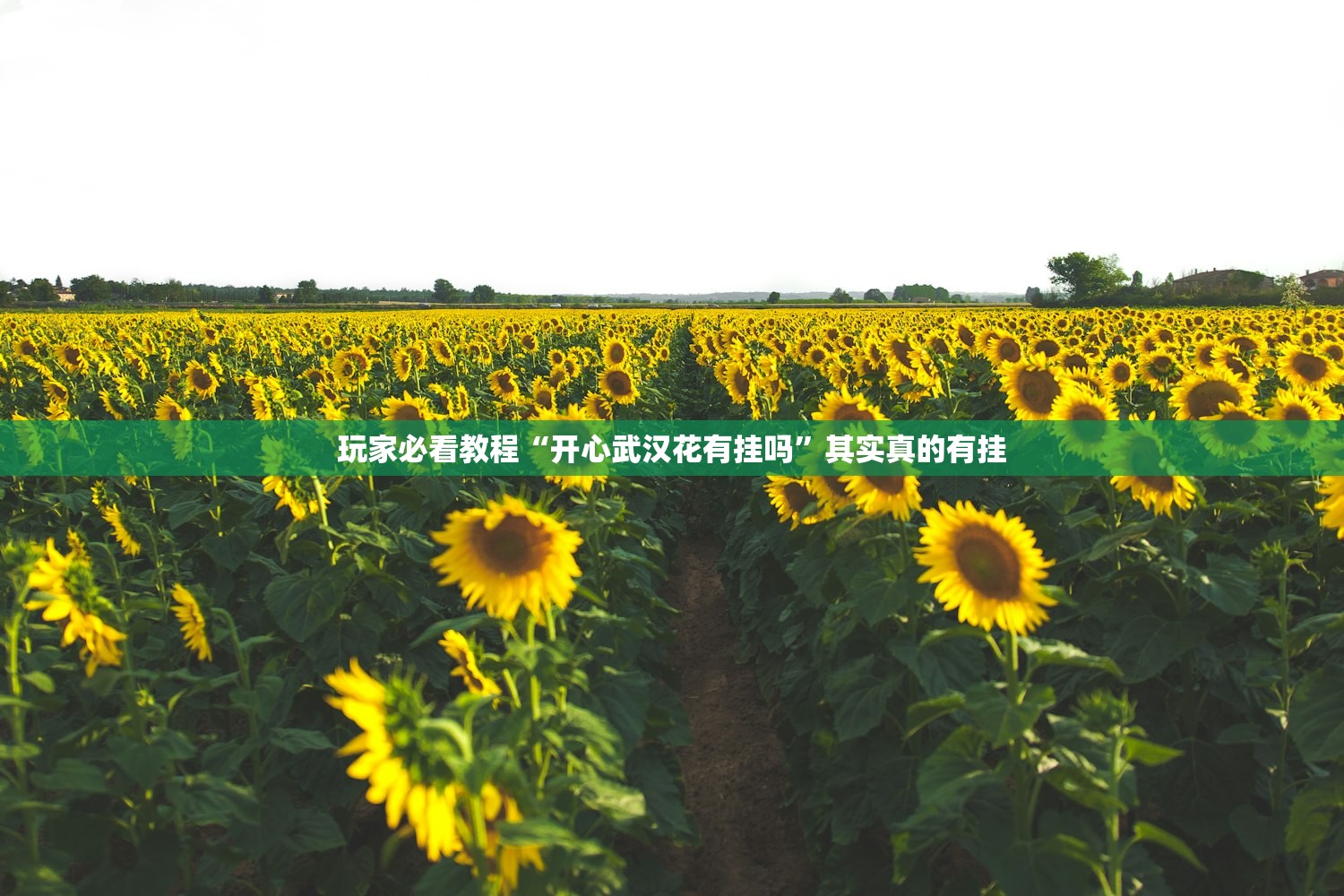 玩家必看教程“开心武汉花有挂吗	”其实真的有挂