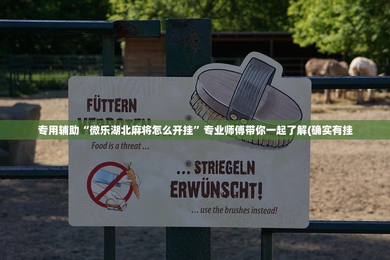 专用辅助“微乐湖北麻将怎么开挂	”专业师傅带你一起了解(确实有挂