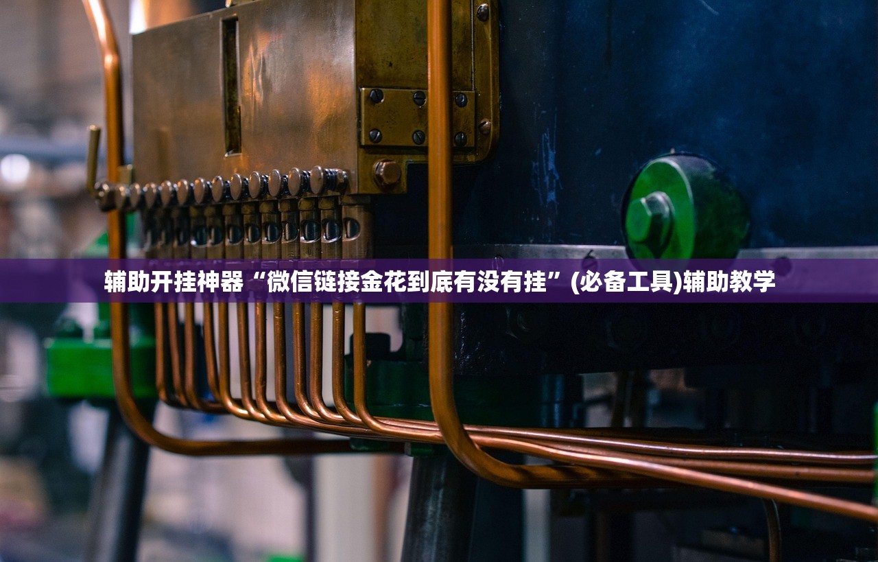 辅助开挂神器“微信链接金花到底有没有挂”(必备工具)辅助教学