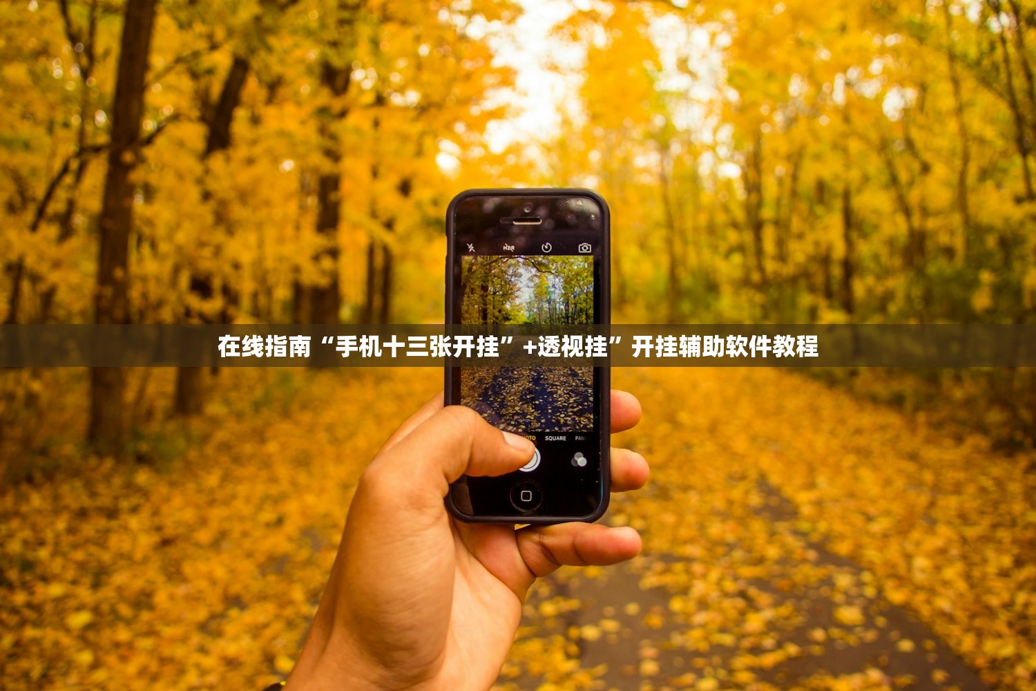 在线指南“手机十三张开挂	”+透视挂”开挂辅助软件教程