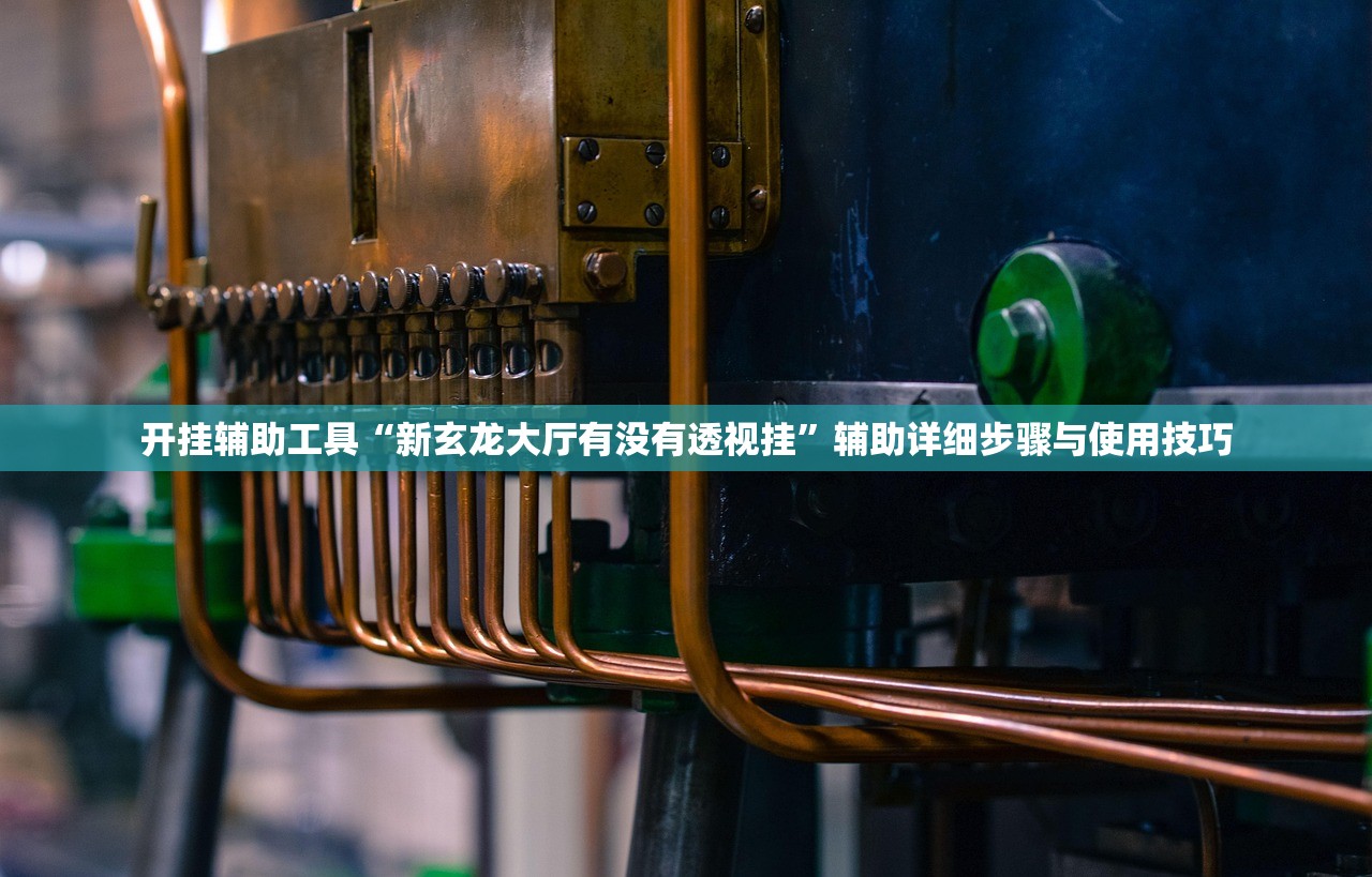 开挂辅助工具“新玄龙大厅有没有透视挂”辅助详细步骤与使用技巧