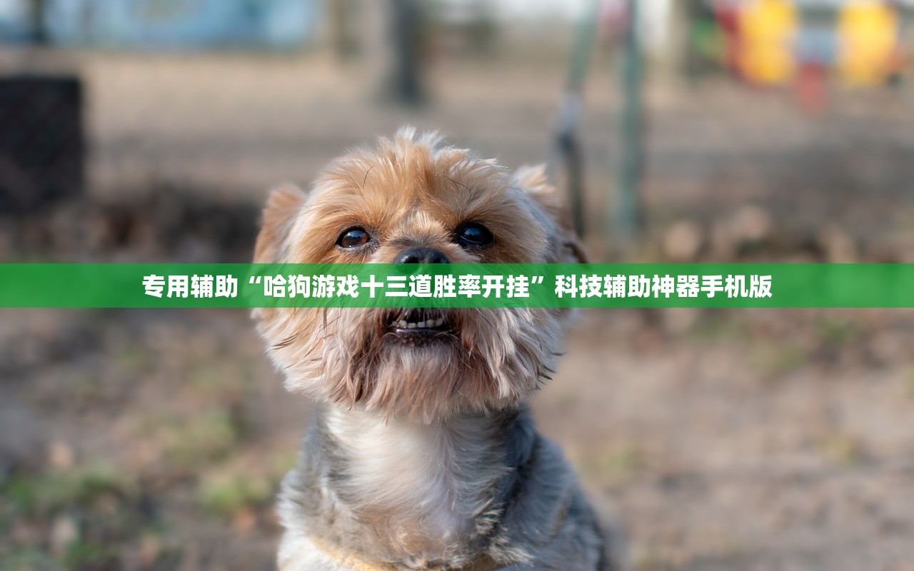 专用辅助“哈狗游戏十三道胜率开挂”科技辅助神器手机版