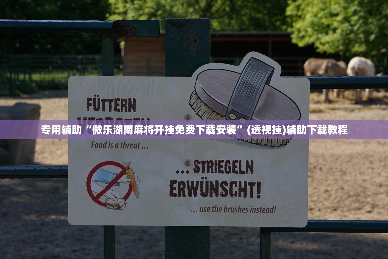 专用辅助“微乐湖南麻将开挂免费下载安装”(透视挂)辅助下载教程