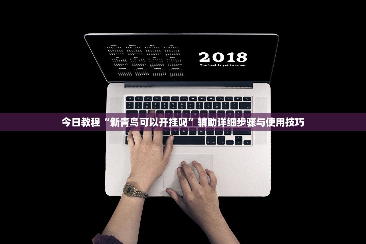 今日教程“新青鸟可以开挂吗”辅助详细步骤与使用技巧